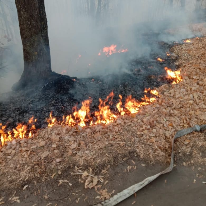 В Ульяновске отменяется особый противопожарный режим.