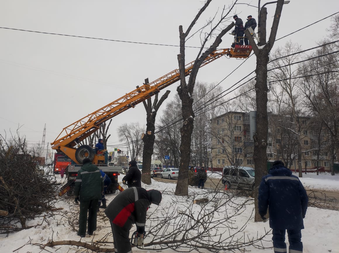 Деревья на улице Камышинской больше не представляют угрозу электросетям.