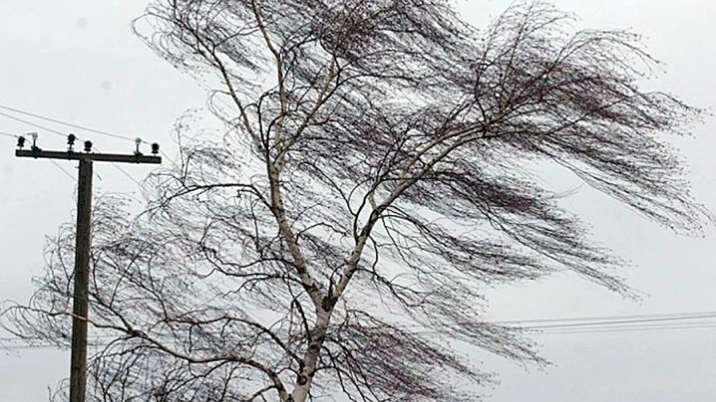 В Ульяновске ожидается порывистый ветер.