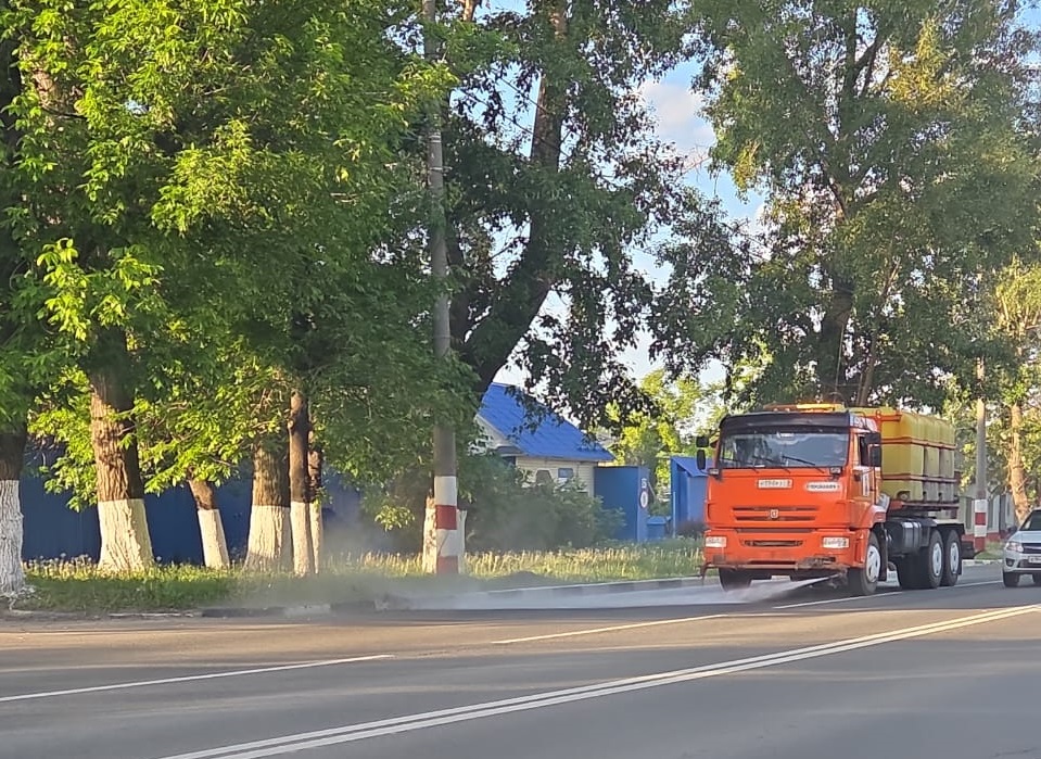 Глава Ульяновска Александр Болдакин поручил усилить увлажнение проезжей части.