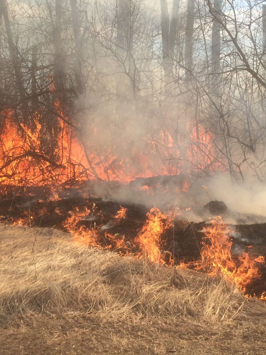 В лесах Ульяновской области ожидается чрезвычайная пожарная опасность.