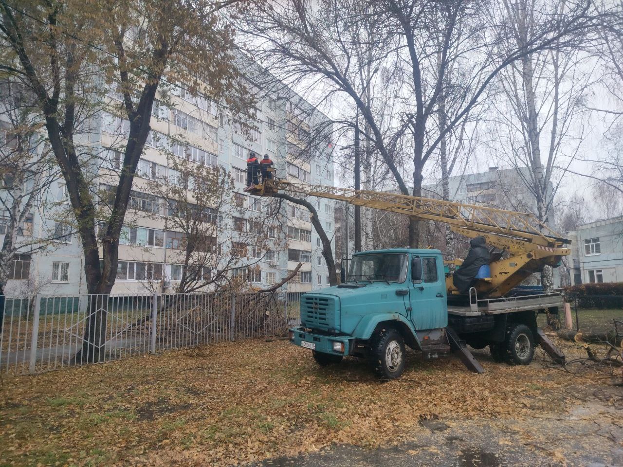 С 16 октября в Ульяновске спилено и обрезано более тысячи деревьев.