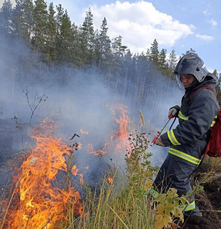 В Ульяновске подвели итоги весенне-летнего пожароопасного сезона.