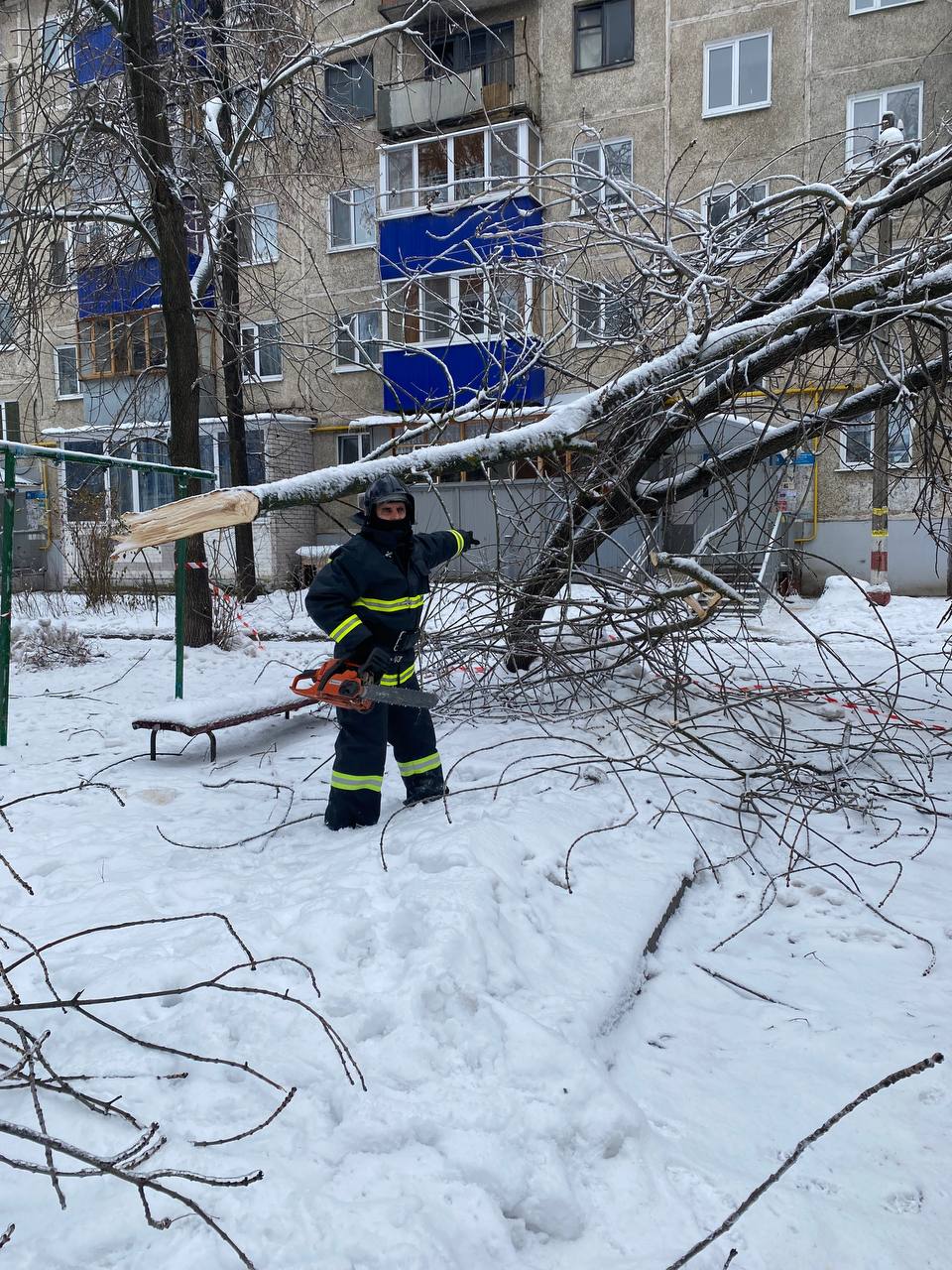 За субботу с северной части Ульяновска вывезли 130 кубометров сломанных ледяным дождём деревьев.