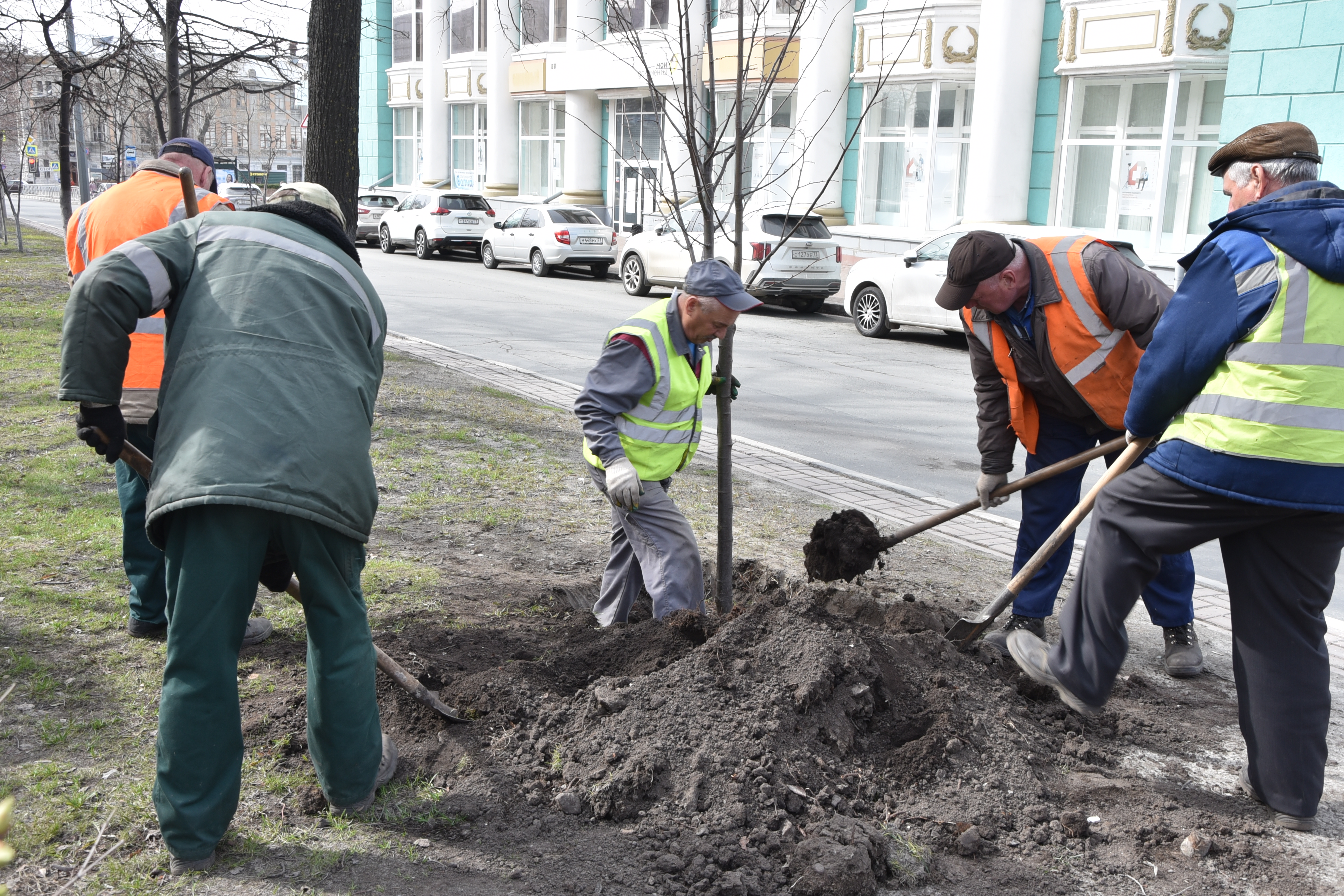 В Ульяновске начали озеленять улицы.