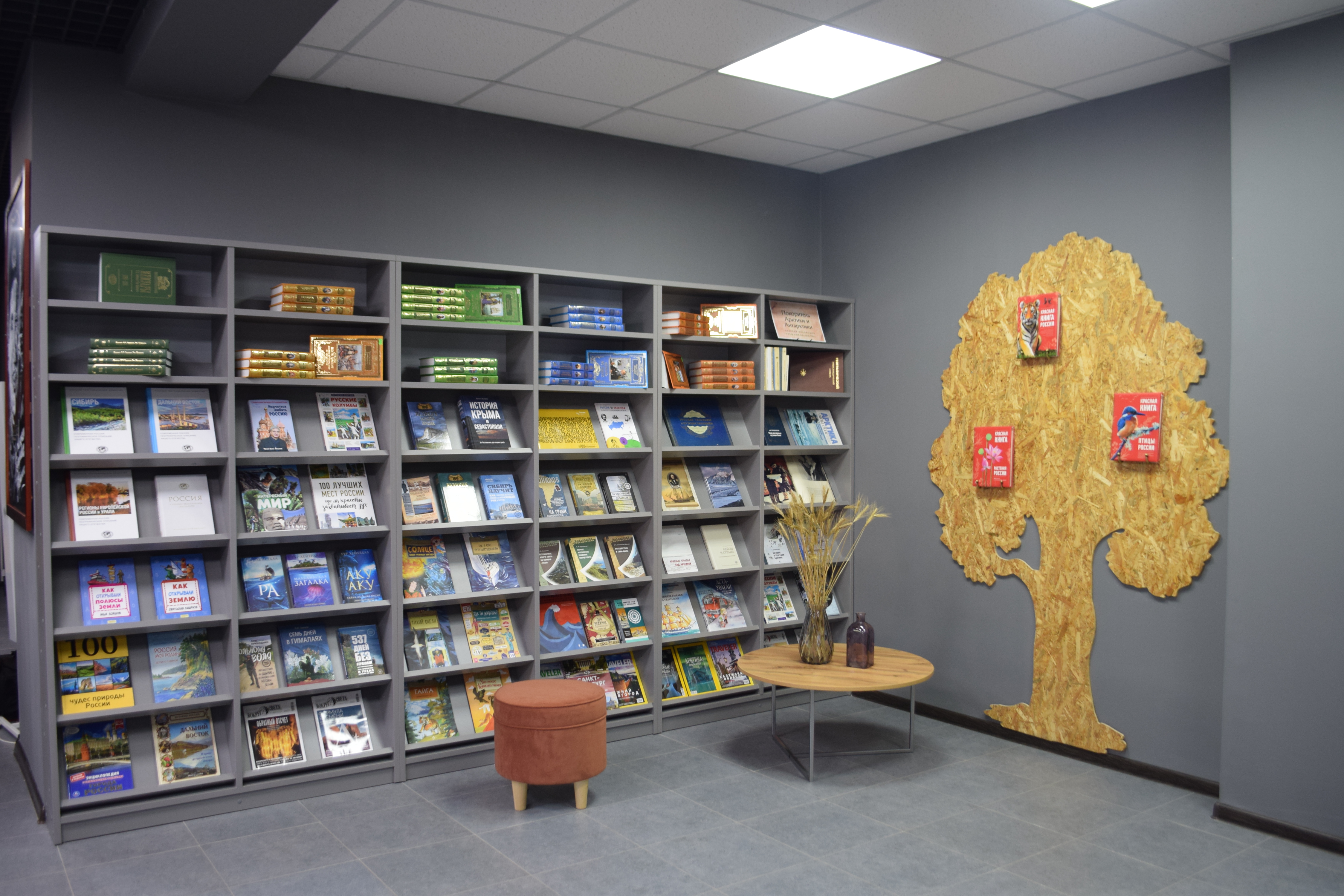 «Здесь растёт учёный!»: в Ульяновске открылась пятая библиотека нового поколения.