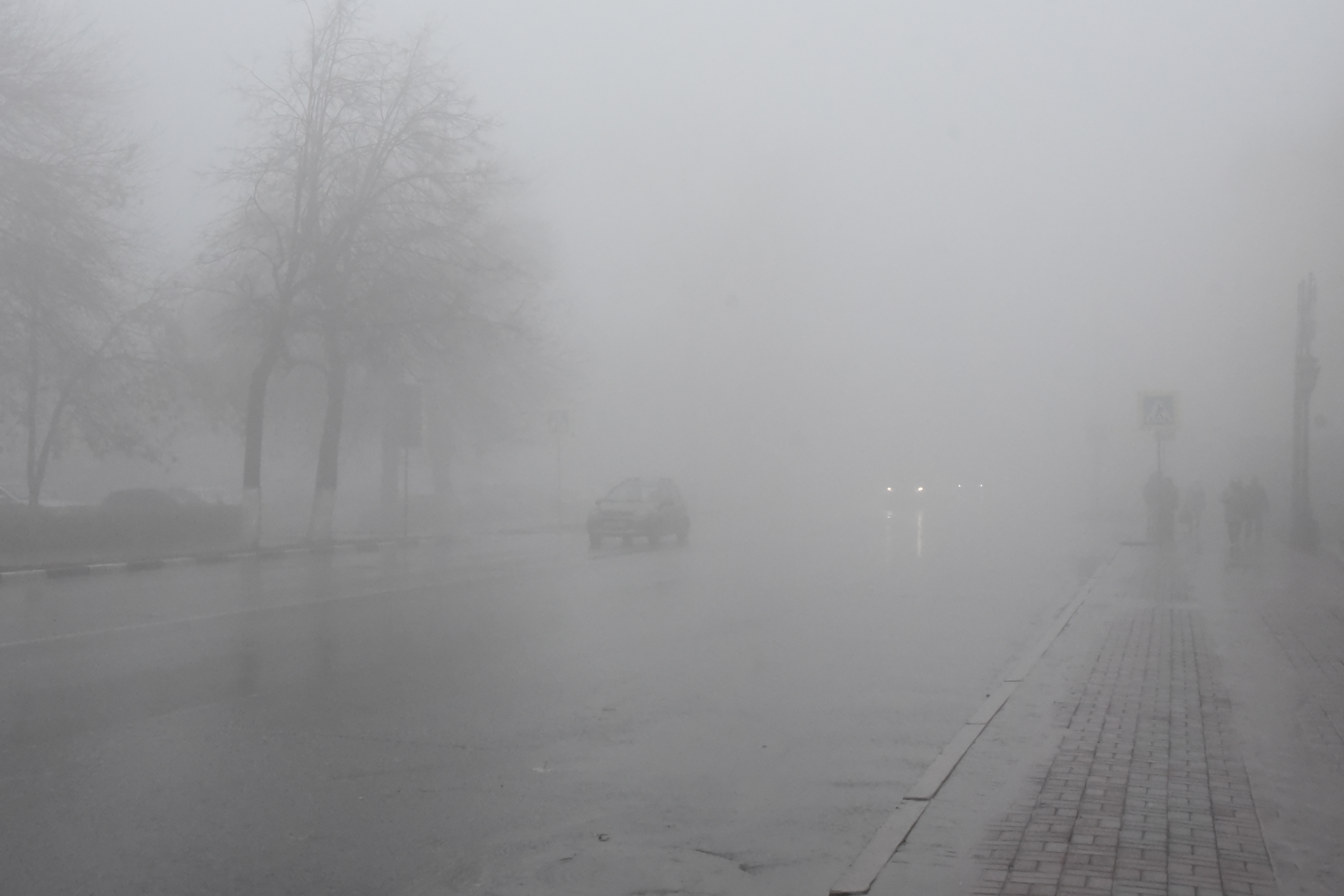 В Ульяновске ожидается сильный туман.
