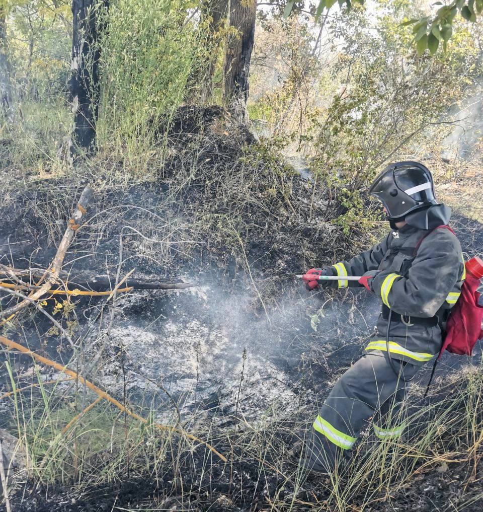 В Ульяновске сохраняется высокая пожарная опасность.