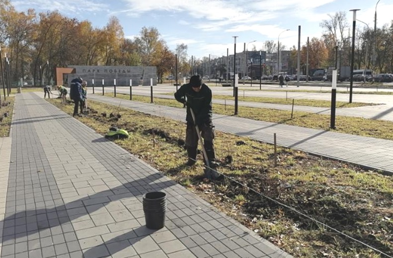 В Ульяновске озеленили новую входную группу перед парком «Победы».