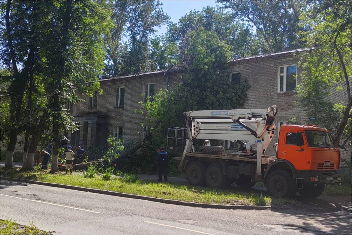 Городские службы убрали с улицы Ефремова накренившееся дерево.