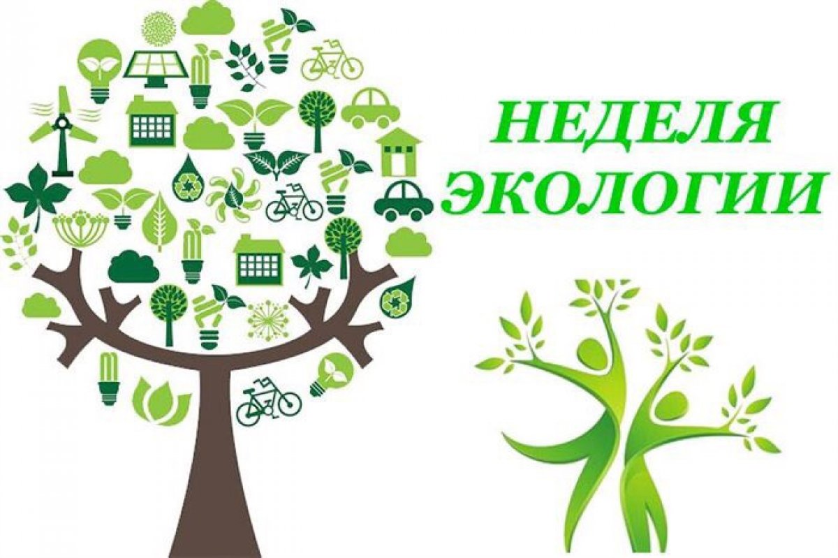 В Ульяновске стартовала неделя национального проекта «Экология».