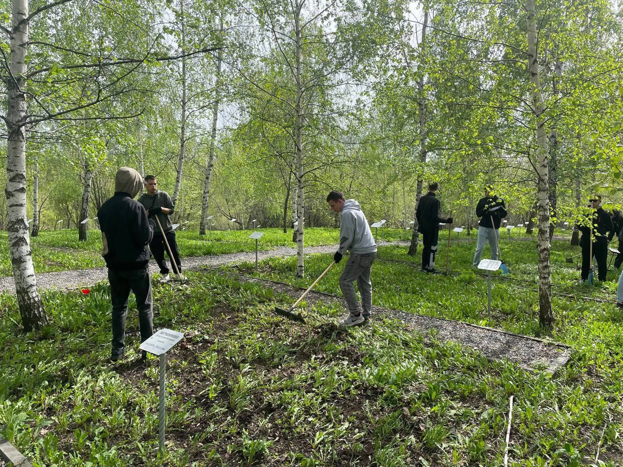 В Ульяновске началось осеннее благоустройство улиц и дворов.