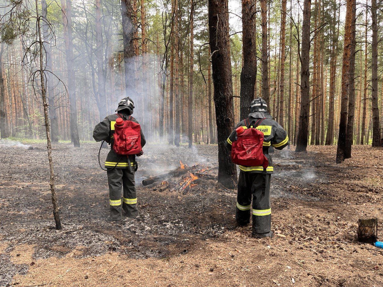 В Ульяновске снижается количество пожаров.