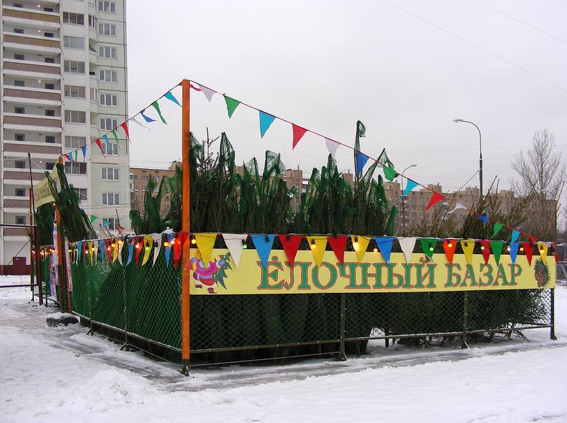 В Ульяновске новогодние ёлки можно купить на 22 базарах.