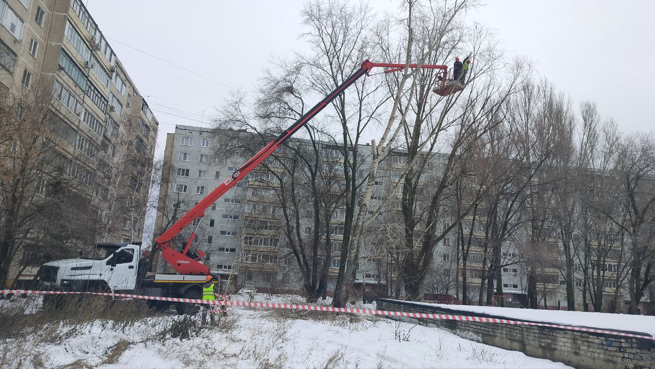В Ульяновске убрано свыше шести тысяч аварийных деревьев.