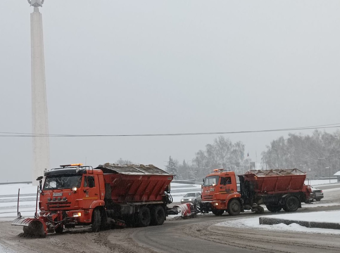 В Ульяновске ожидается сильный снег.