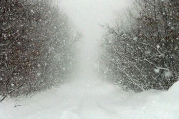 В Ульяновске прогнозируют сильный снег  и метель.