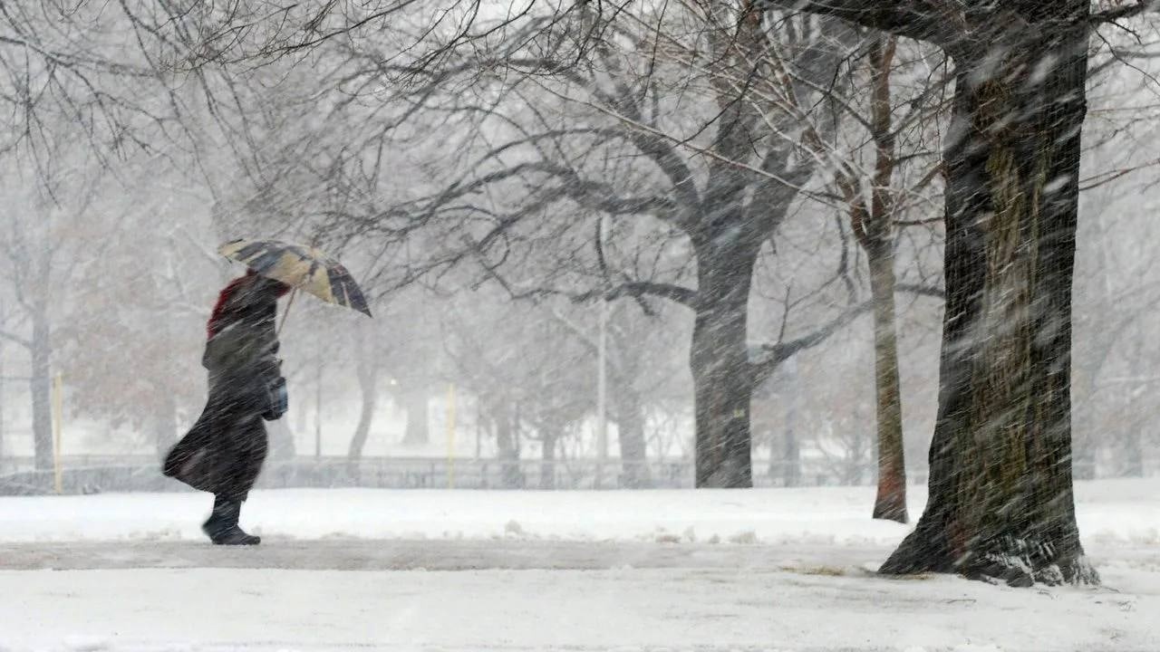 В Ульяновске прогнозируют дождь и мокрый снег.