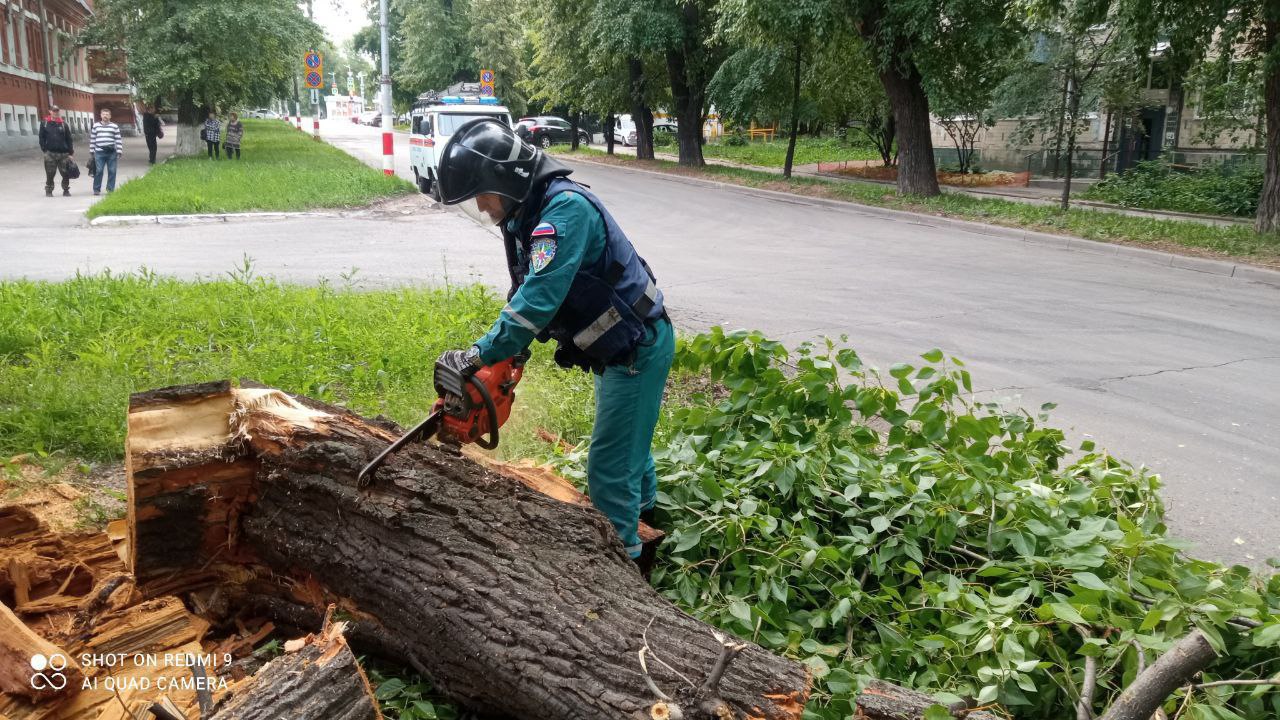В Ленинском районе Ульяновска убрали аварийное дерево.