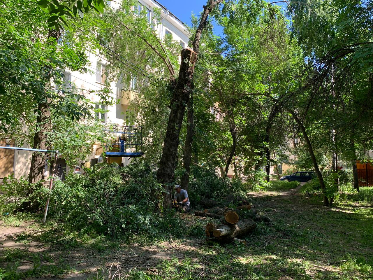 Во дворе дома по Гончарова, 5 начали спиливать аварийные деревья.