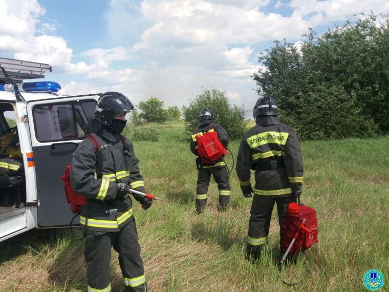 В Ульяновской области прогнозируется пожарная опасность.