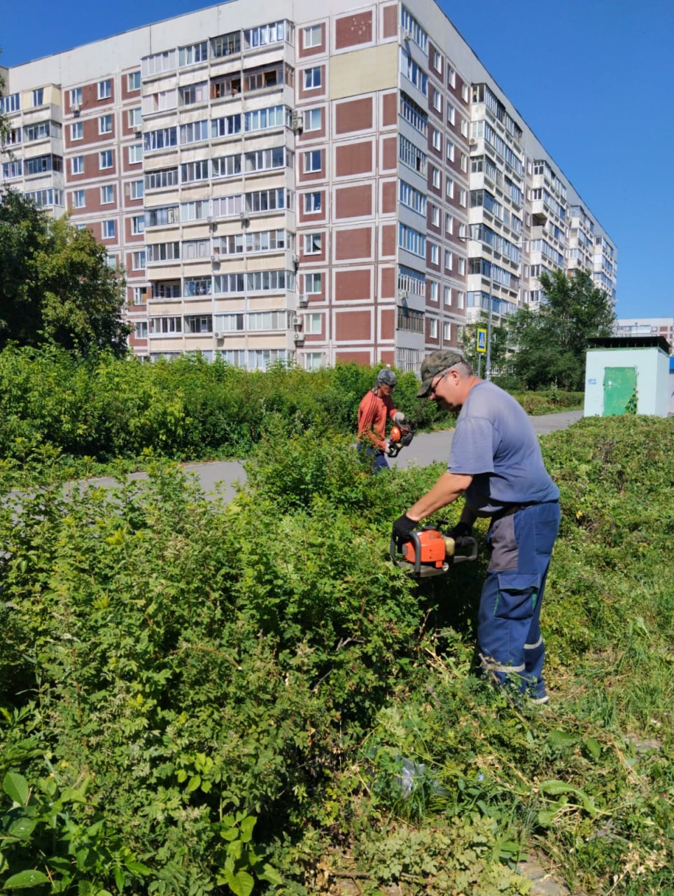 В Ульяновске для безработных граждан организуют оплачиваемые общественные работы.