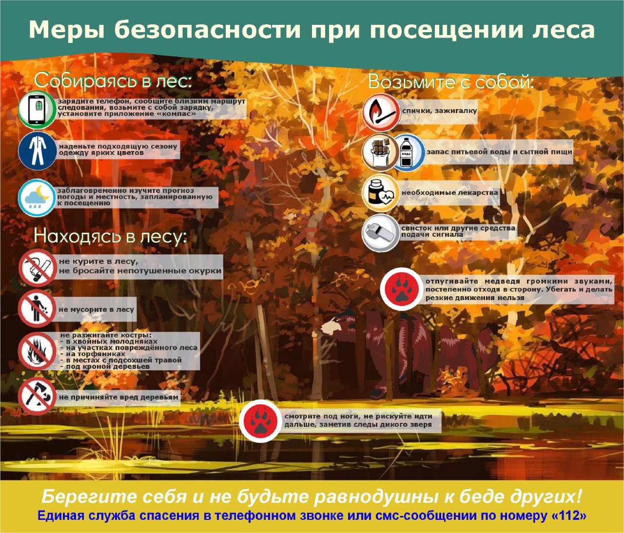 Ульяновцам напоминают о мерах безопасности при посещении леса.