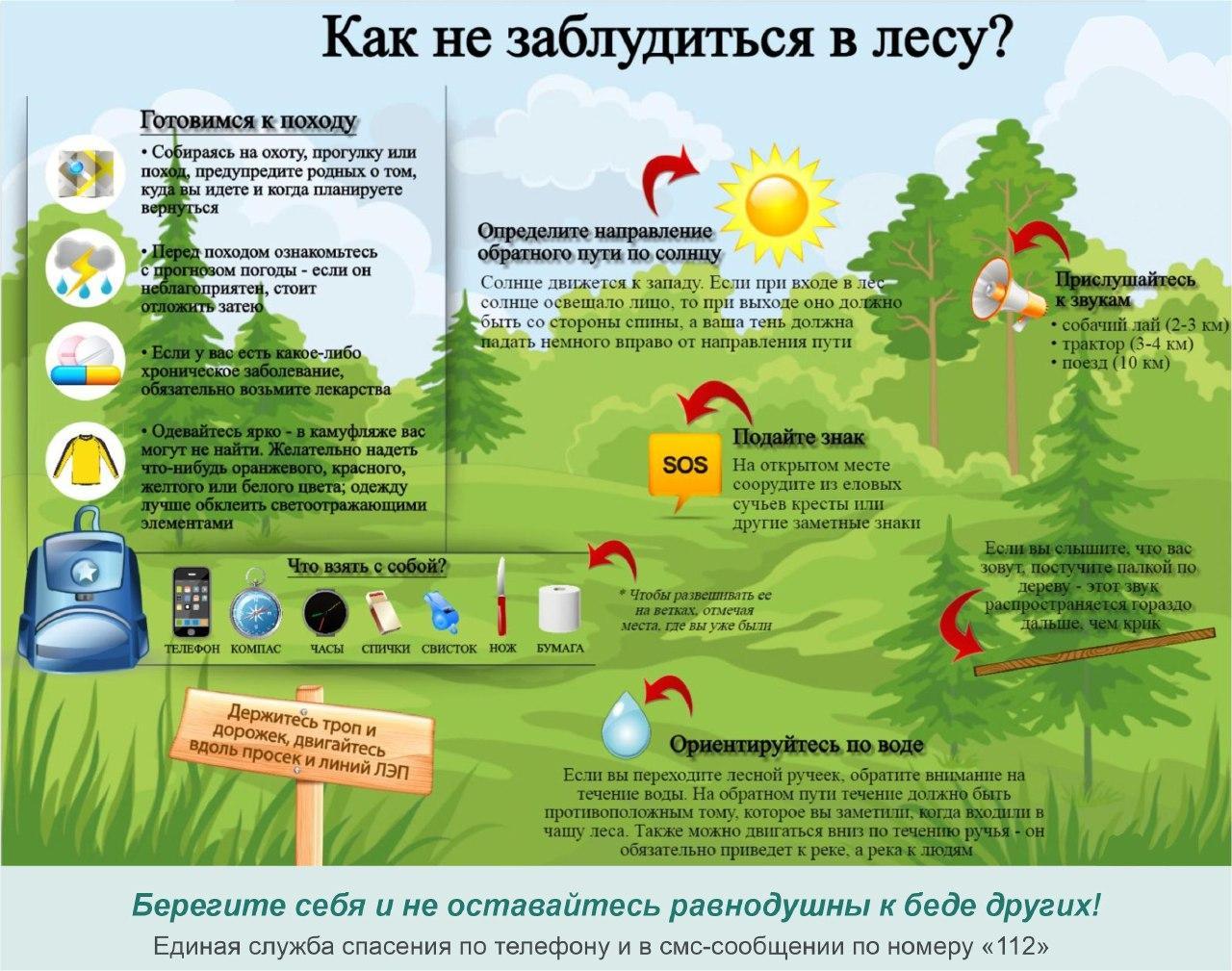 Ульяновцев призывают соблюдать меры предосторожности при посещении леса.