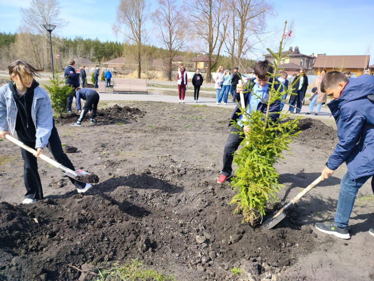 В Ульяновске высадят 635 деревьев и 1000 кустарников.