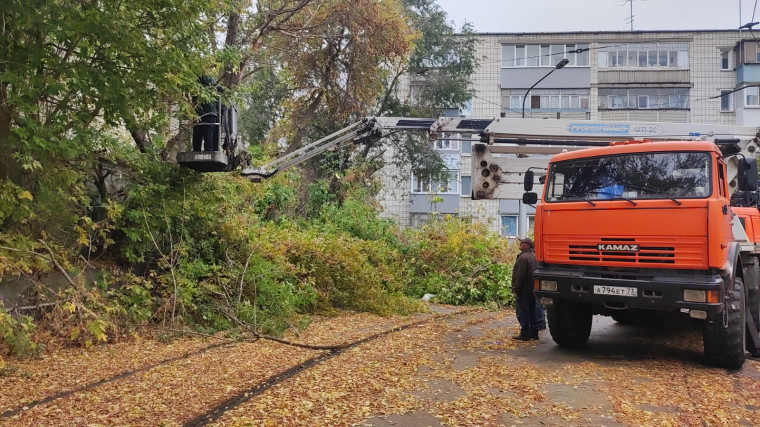За неделю в Ульяновске снесли 88 аварийных деревьев.