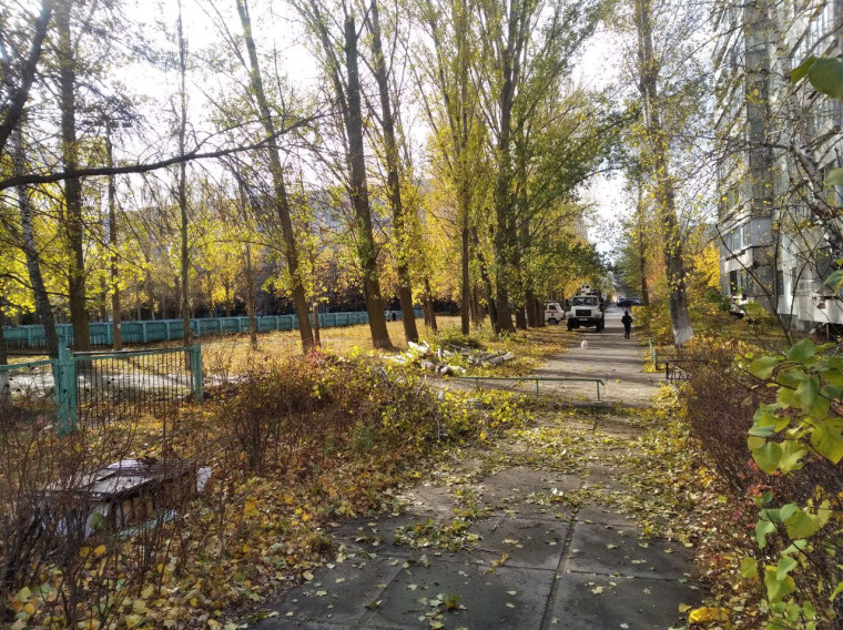 Администрация Ульяновска проверяет информацию об упавшем дереве рядом со школой №50 в Заволжье.