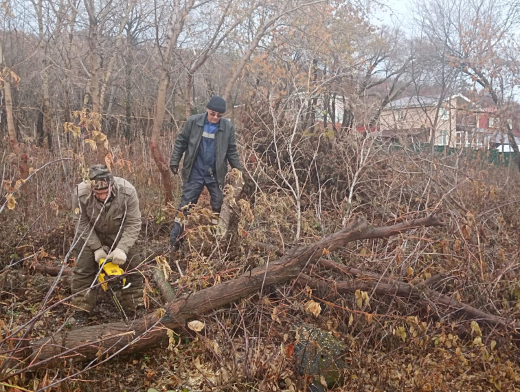 В Ульяновске снесли аварийные деревья рядом с учреждениями образования.