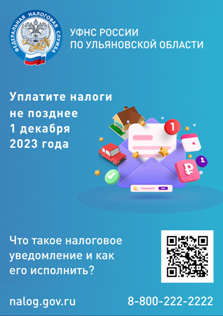 Ульяновцам напоминают о необходимости заплатить налоги до 1 декабря.