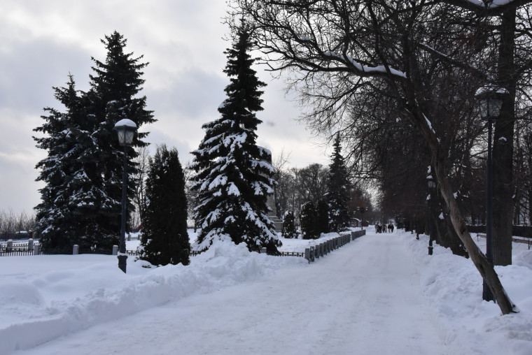 В Ульяновске ожидается сильный снег и метель.