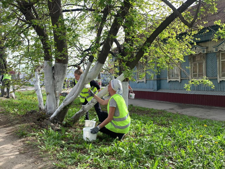 В Ульяновске проходит масштабный городской субботник. В Ульяновске проходит масштабный городской субботник.