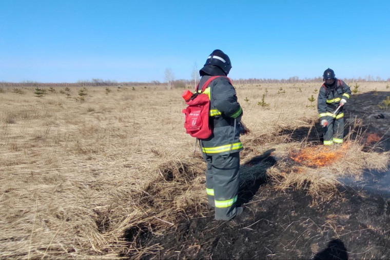 В Ульяновской области ожидается высокая пожарная опасность.