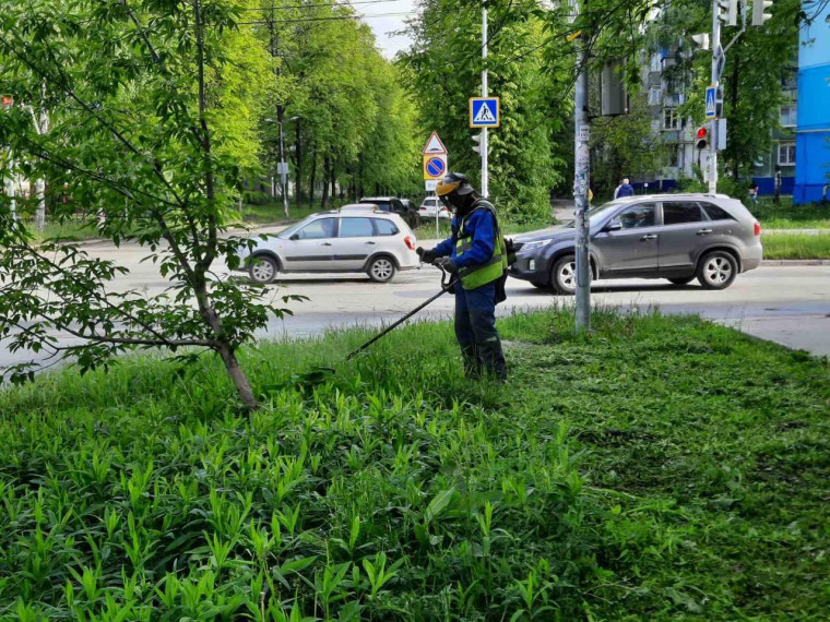 31 мая в Ульяновске пройдет очередная «санитарная пятница».