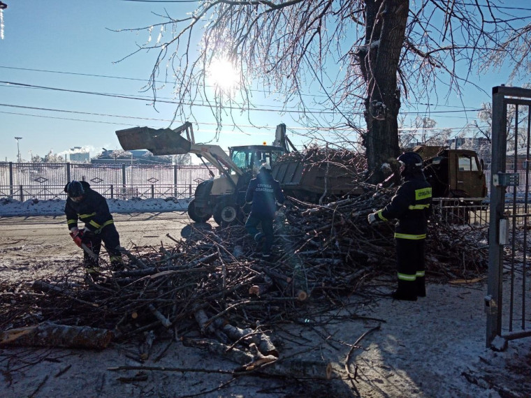 Городские службы Ульяновска обработали порядка 650 пострадавших от ледяного дождя деревьев.