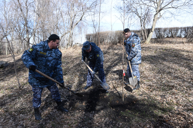 За год в Ульяновске посадили более 10 тысяч зелёных насаждений.