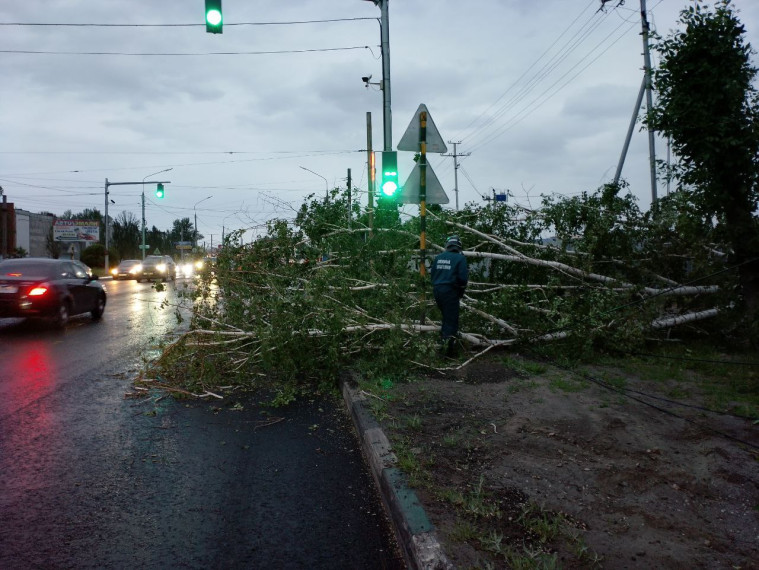 В Ульяновске устранили последствия сильного ветра. В Ульяновске устранили последствия сильного ветра.