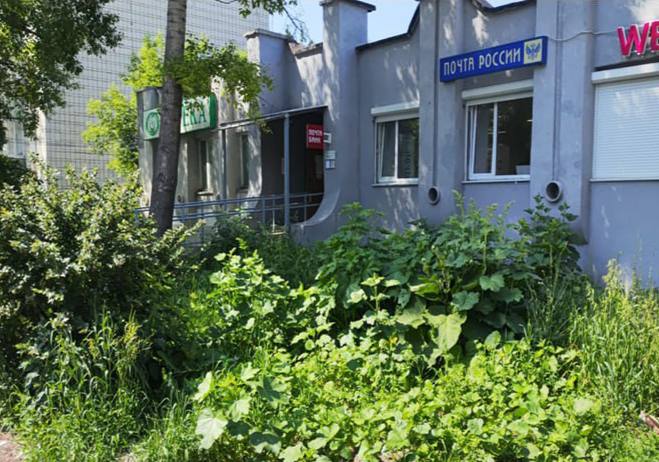 В июне ульяновским предпринимателям выдано 63 предписания по нарушению Правил благоустройства. В июне ульяновским предпринимателям выдано 63 предписания по нарушению Правил благоустройства.