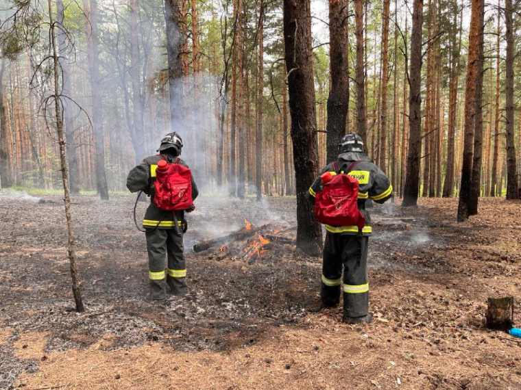 Ни один из 80 ландшафтных пожаров не повредил жилые дома Ульяновска.
