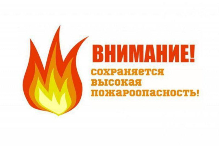 В ульяновских лесах сохраняется высокая пожарная опасность.