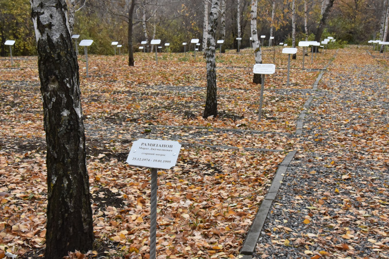 В Ульяновске высадили деревья в честь Героев России Дмитрия Разумовского и Николая Джорджадзе.