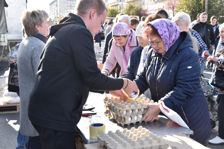 11 ноября ульяновцев приглашают на сельскохозяйственную ярмарку в Заволжье.