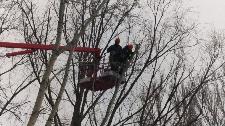 В Ульяновске убрано свыше шести тысяч аварийных деревьев.