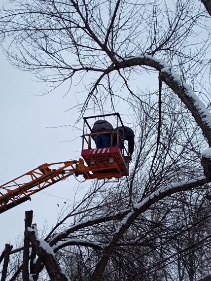 Деревья на улице Камышинской больше не представляют угрозу электросетям.