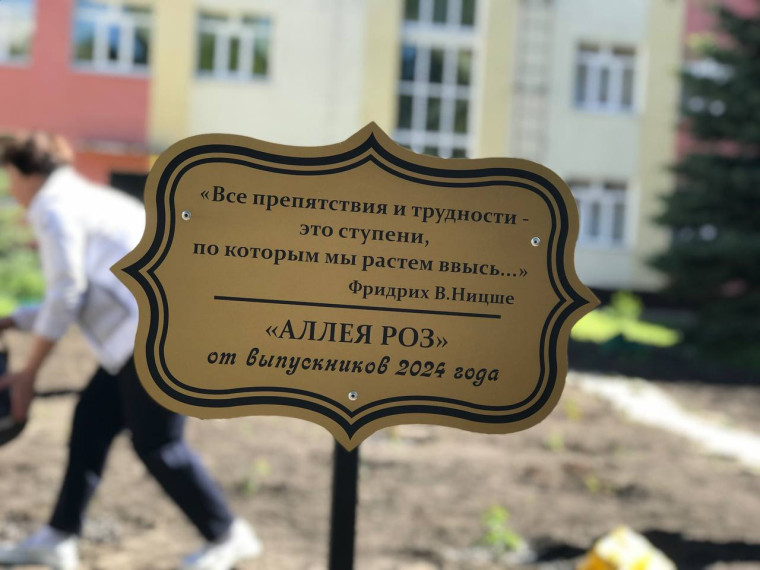 На территории ульяновской школы №31 высадили аллею роз.