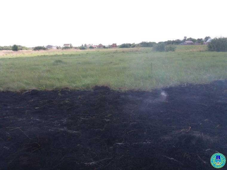 Ульяновские спасатели не допустили распространения пожара на деревню Кувшиновка.