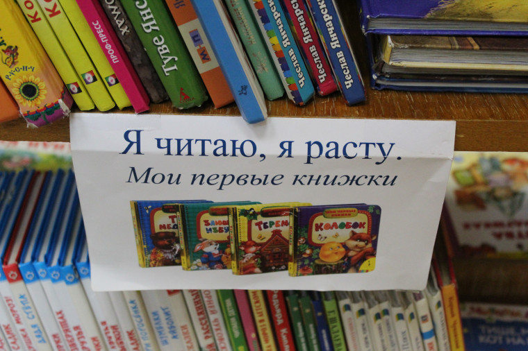 В Ульяновске к 225-летию со дня рождения Александра Пушкина масштабно преобразят одноимённую библиотеку.